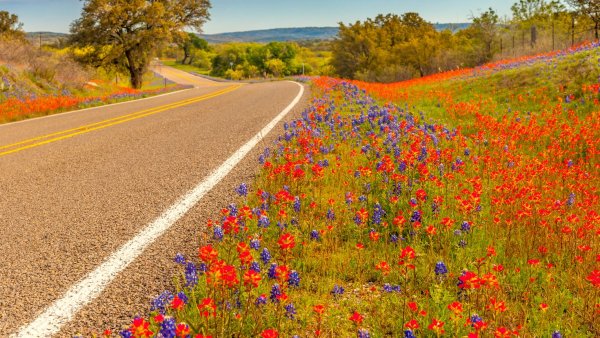 Летняя дорога