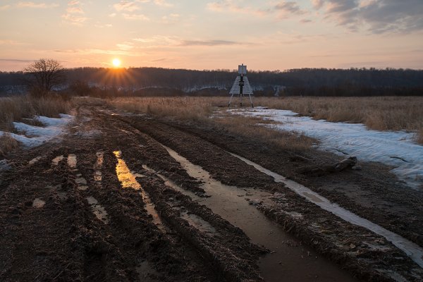 Весенние дороги
