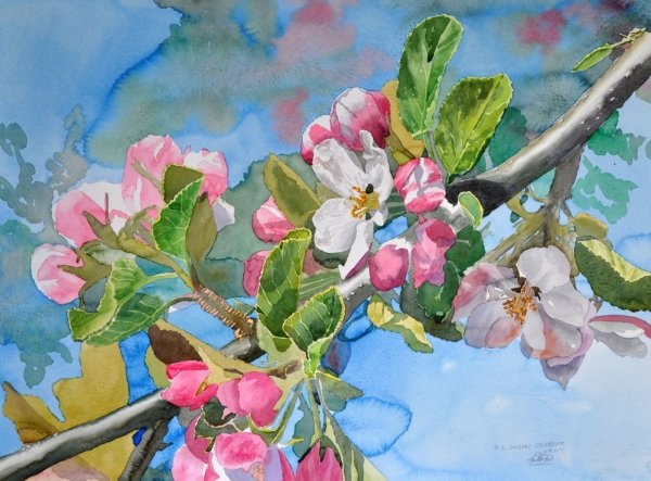 Цветущие деревья сказочные