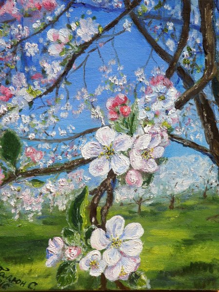 Сакура картина