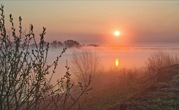 Рассвет ранняя Весна