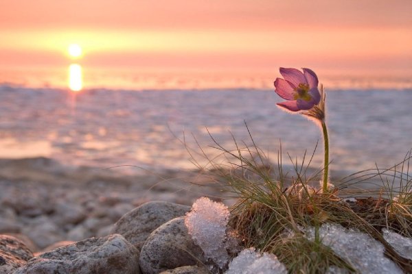 Весенний рассвет