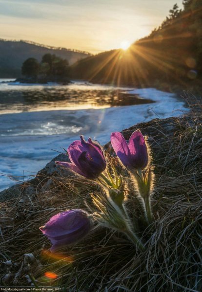 Весенний закат