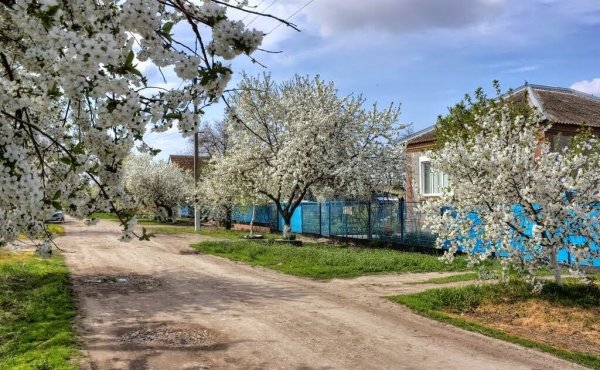 Станица Каневская Краснодарский край