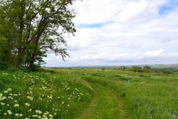 Весна на Кубани