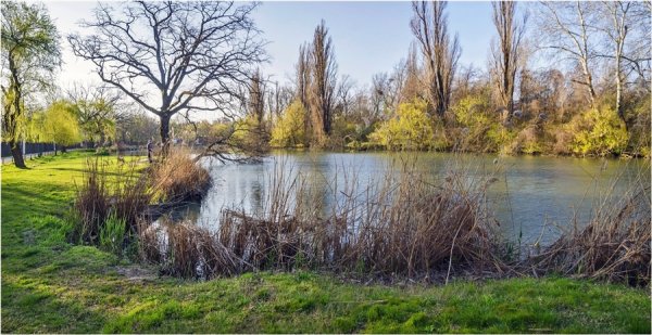 Солнечная Весенняя Кубань