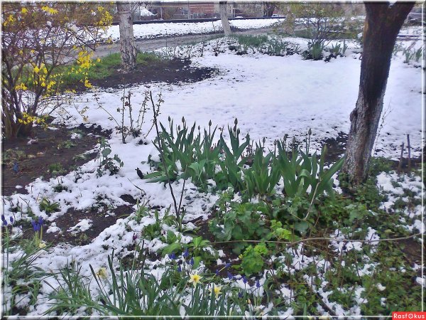 Река Уруп весной Краснодарский край