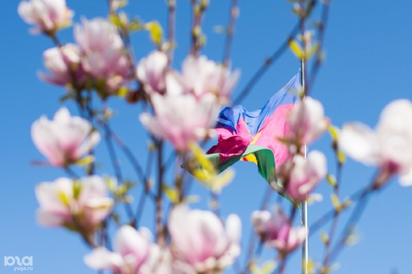 Цветущие сады Армавир Краснодарский край