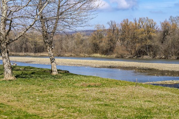 Весна на Кубани картинки