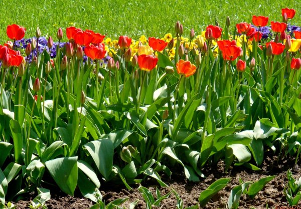 Ранняя Весна на Кубани