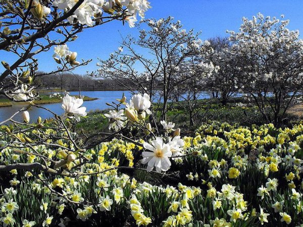 Весна на Кубани