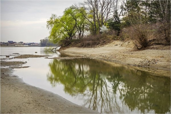 Первоцветы Кавказа