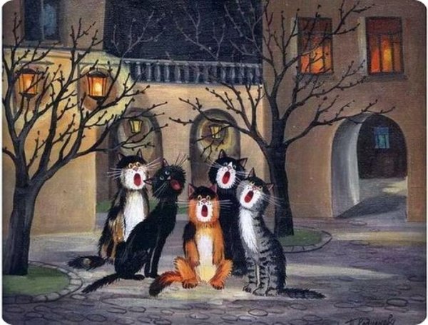 Кот радуется