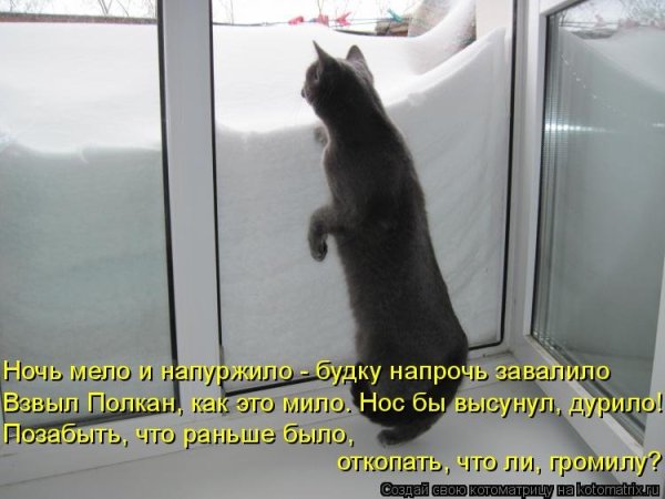 Приколы про весну