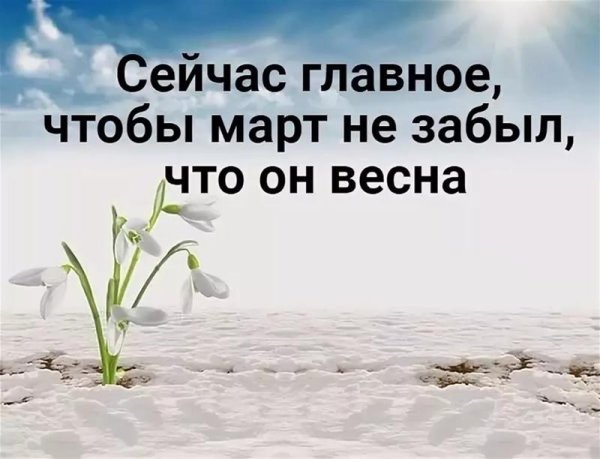 Приколы про зиму и весну