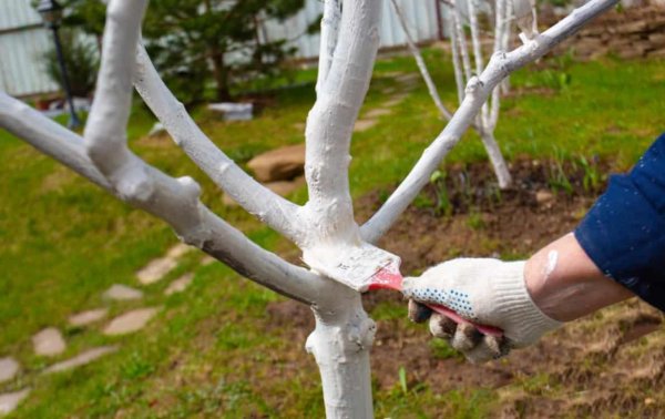 Человек в побелке