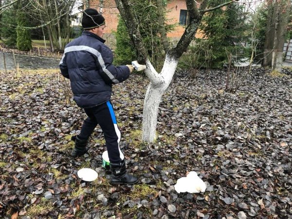 Весенние работы для детей