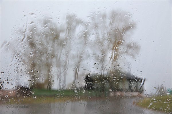 Дождливый апрель