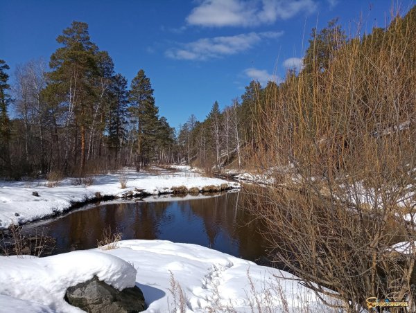 Пробуждение весны