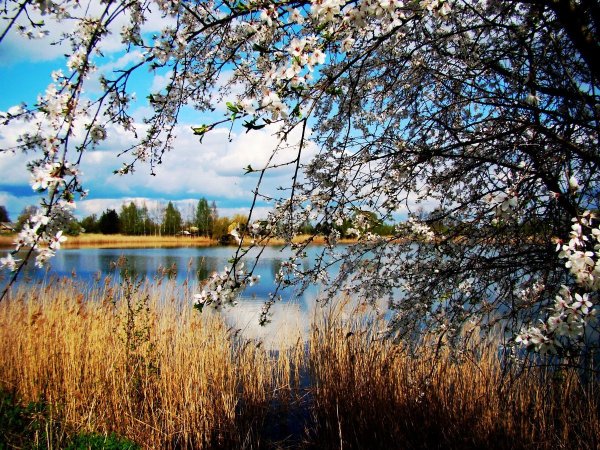 Апрельский пейзаж