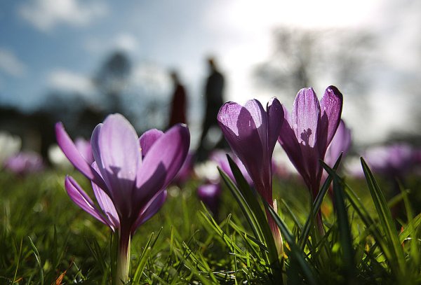 Весна природа 2020