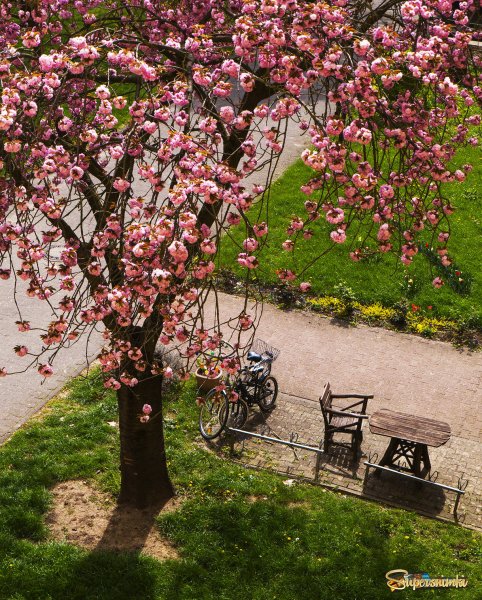 Весна на дворе