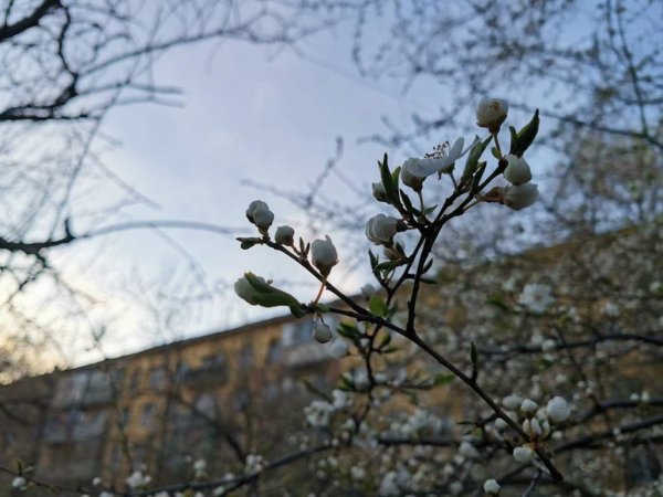 Весна на дворе