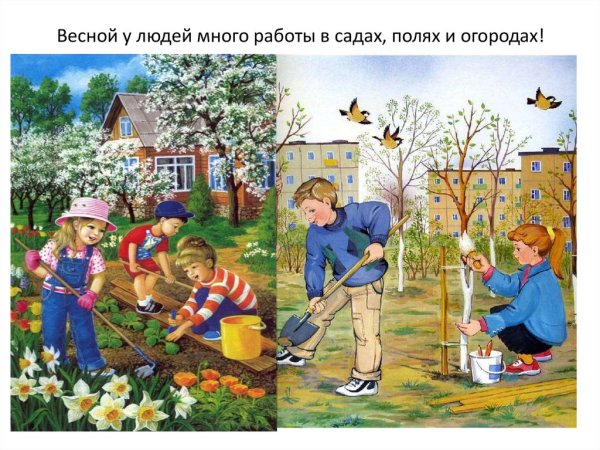 Признаки весны для детей