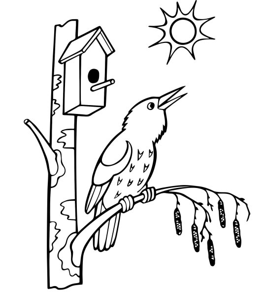 Раскраска. Весна