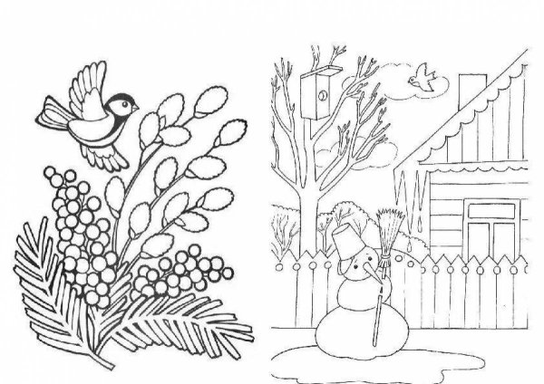 Нелепицы Немов