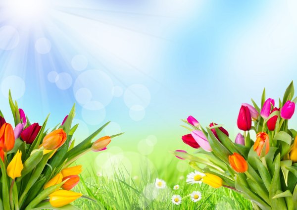 Весенний фон