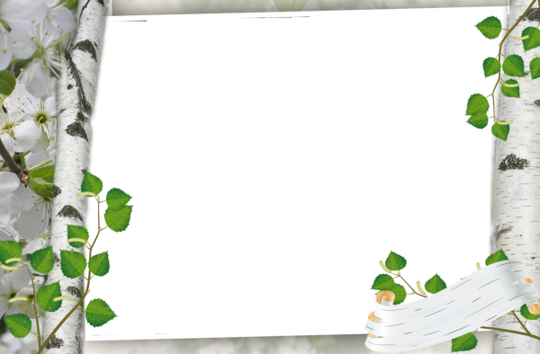 Обои на рабочий стол белые цветы