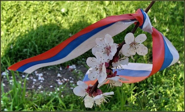 Символ Крымской весны