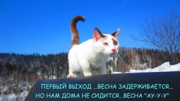 Весна потерялась