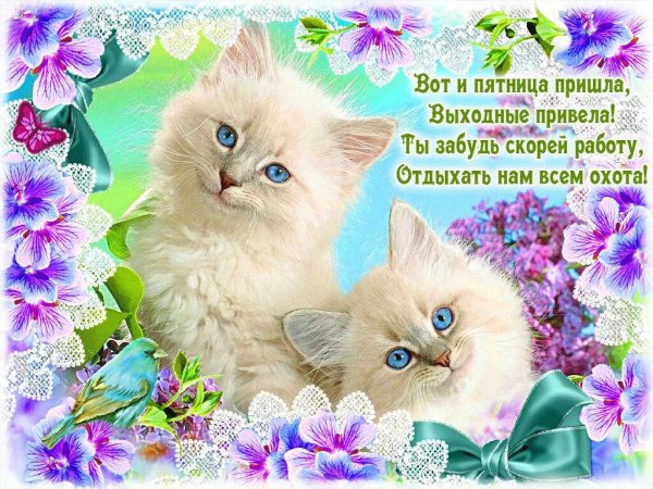 Открытки с пожеланием доброй пятницы