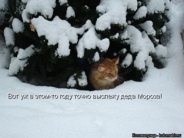 Приколы про зиму и весну