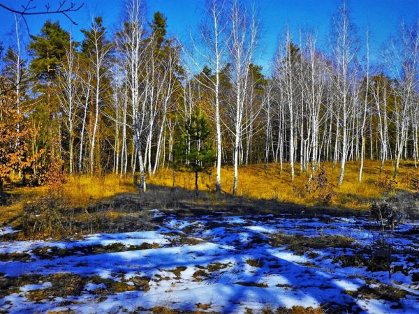 Ранняя Весна