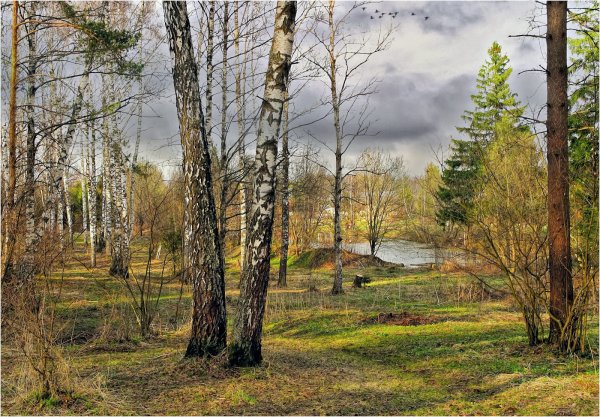 Ранняя Весна Подмосковье