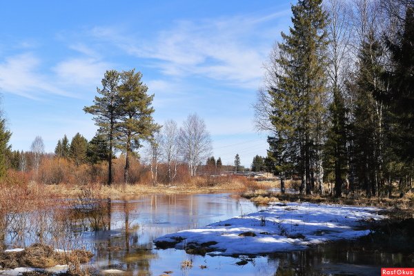 Природа Урала весной