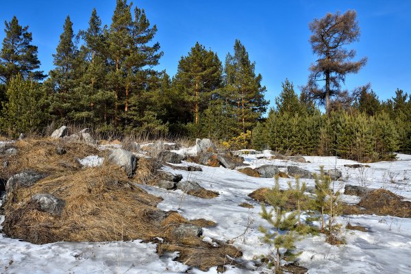 Весенний пейзаж Урала