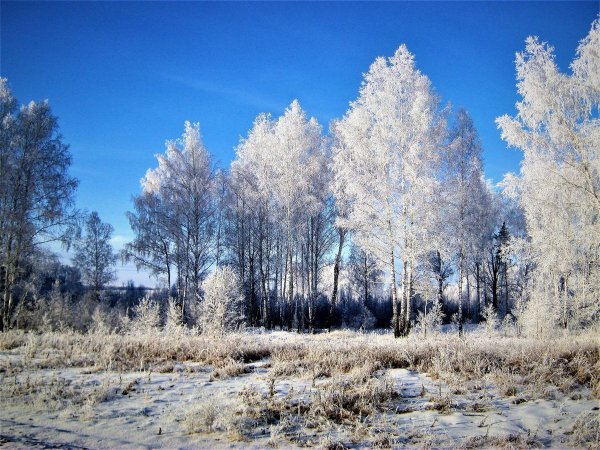 Весенний пейзаж Урала