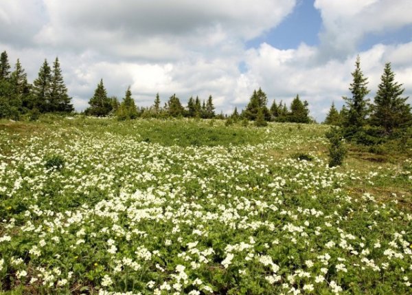 Урал весной