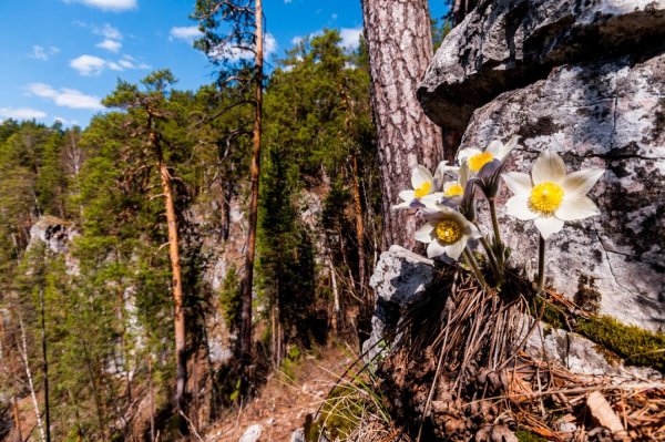 Весна на Южном Урале природа