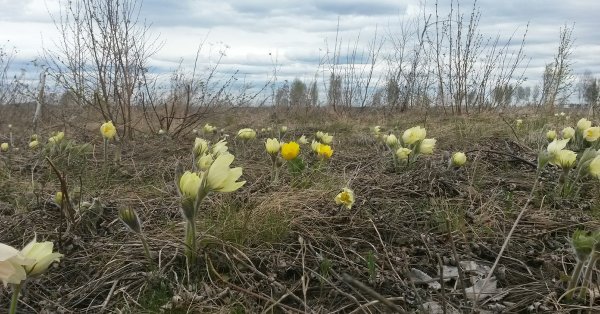 Апрель на Южном Урале