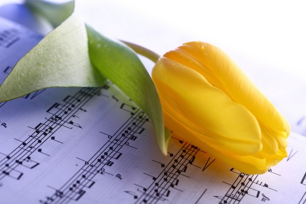 Красивые цветы с нотками