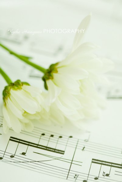 Весенние нотки