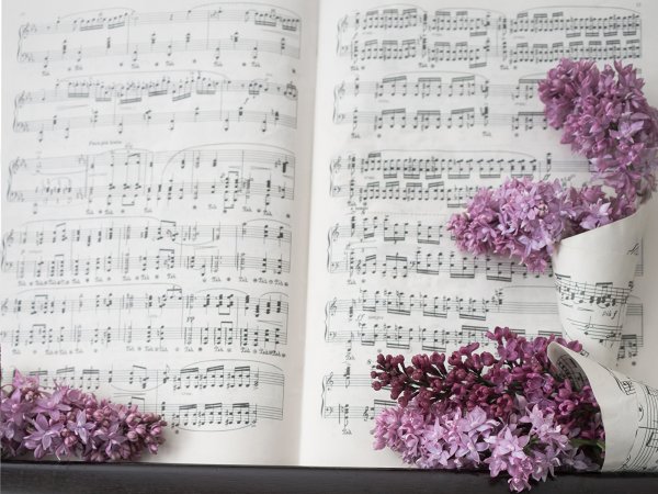 Фон Ноты и цветы