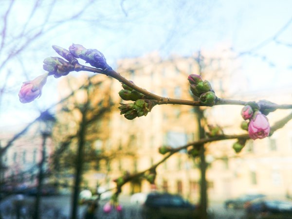 Весна апрель май
