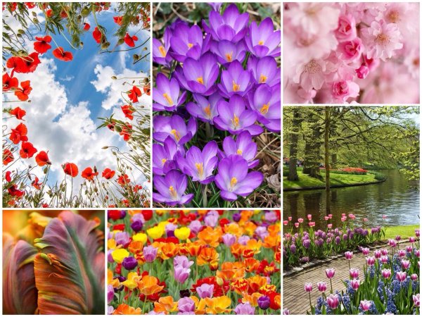 Яркая Весна