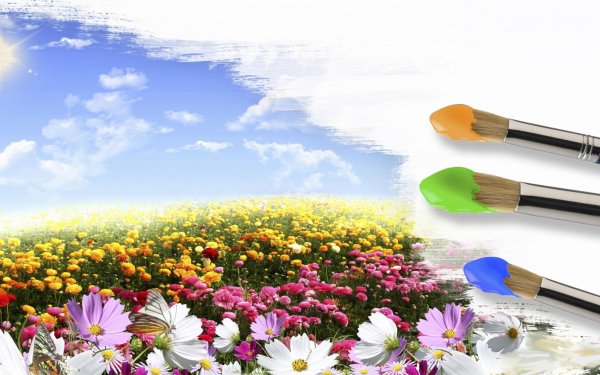 Кисти и краски